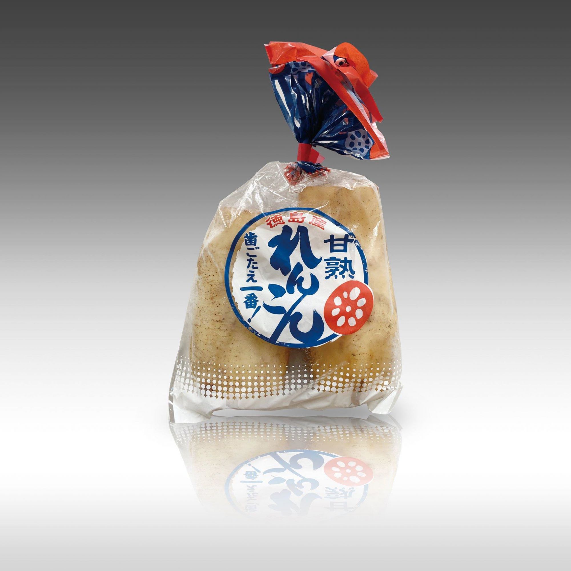 101649026_2359522744349791_879