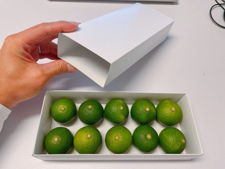 顧客とともにブラッシュアップ 贈答用すだちパッケージ ～宮崎商店様