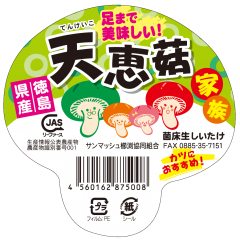 【天恵菇ってご存知ですか？テンケイコって読みます。日本の食卓を照らす商品に相応しいパッケージとは？】