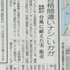 【台風11号に負けなかった鳴門で起きた奇跡　必勝合格祈願　台風にも負けず落なかった合格間違い梨】