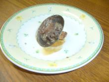 パッケージ松浦　のブログ-椎茸１１－４