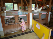 パッケージ松浦　のブログ