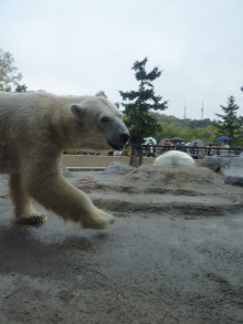 パッケージ松浦　のブログ