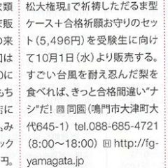 【台風11号に負けなかった鳴門で起きた奇跡　必勝合格祈願　台風にも負けず落なかった合格間違い梨】