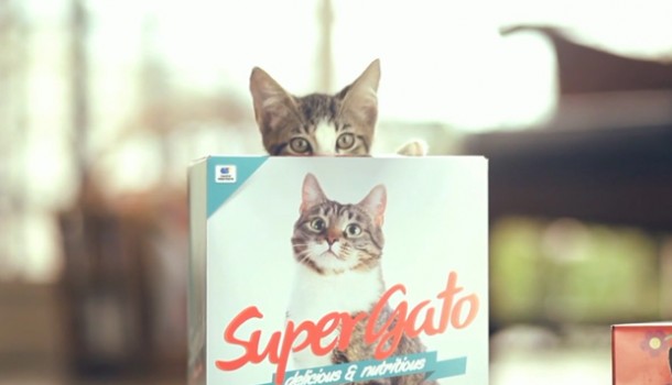 super_gato_packaging_box-610x350